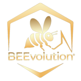 BeEvolutions_Logo BeEvolutions_Logo
